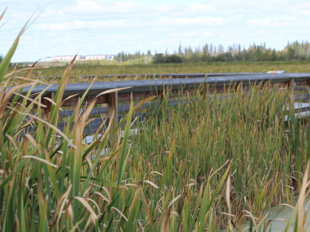 圣艾伯特旅游景点-John E Poole Boardwalk