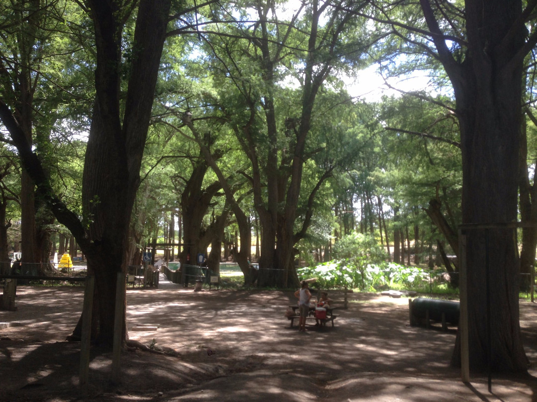 Ciudad Miguel Aleman旅游景点-Parque Nacional El Sabinal