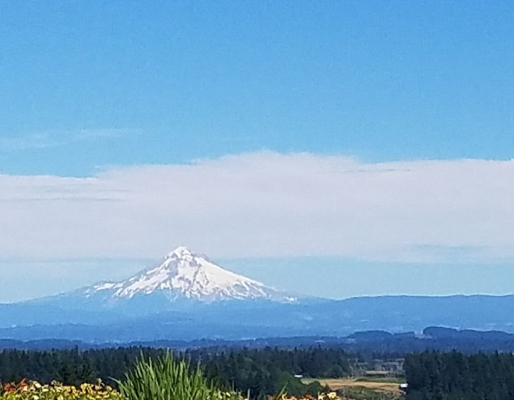 Pete’s Mountain Vineyard & Winery景点图片