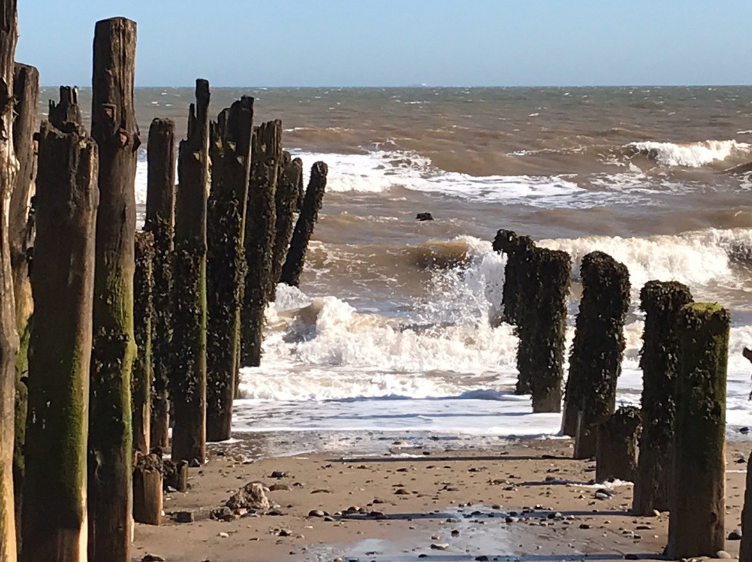 Spurn Point景点图片