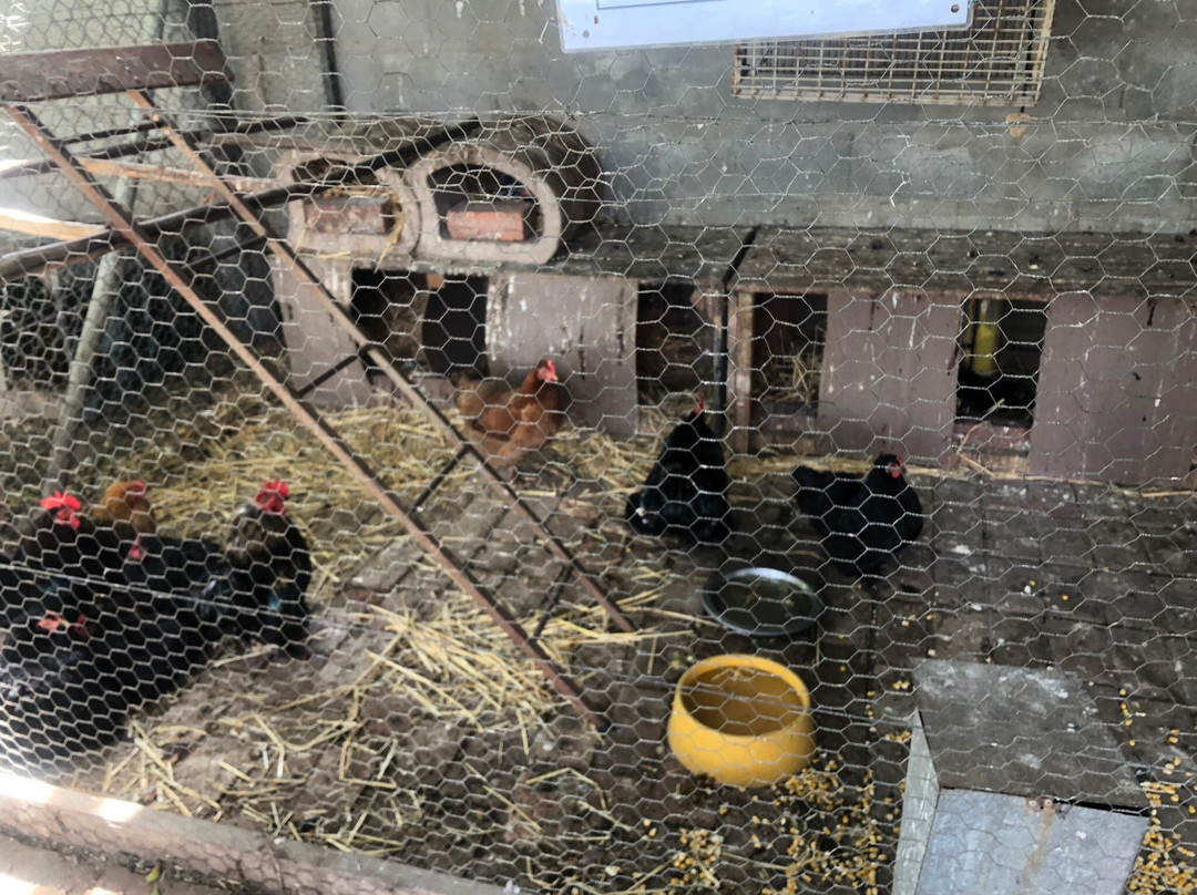 Platform 62-Ashton必去景点