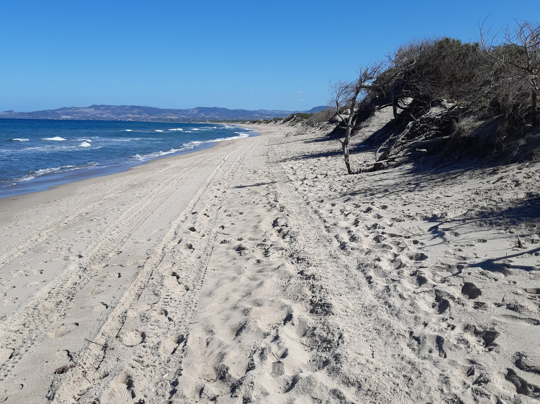Platamona Beach-Marina di Sorso必去景点