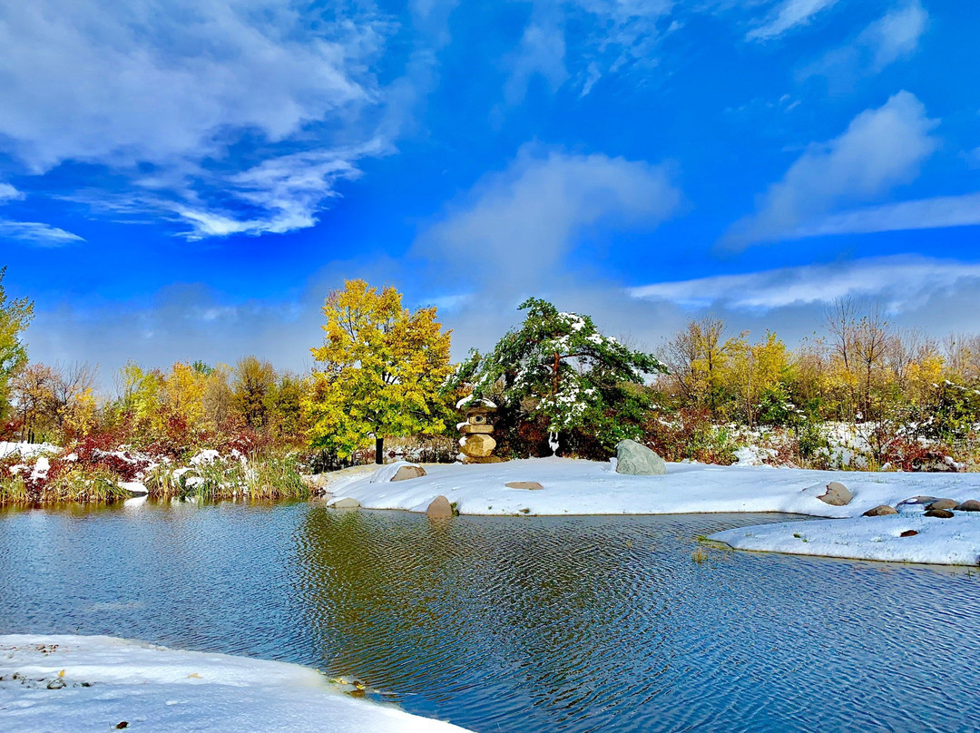 Japanese Gardens景点图片