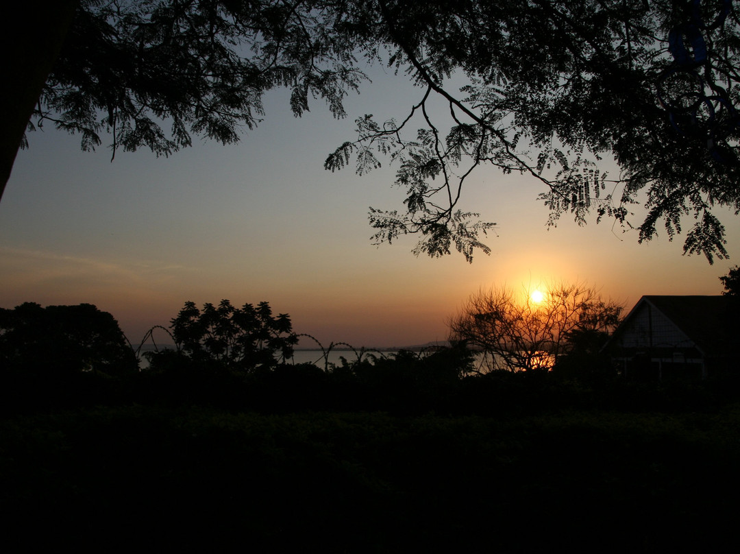 BlueMonkey Guesthouse主图