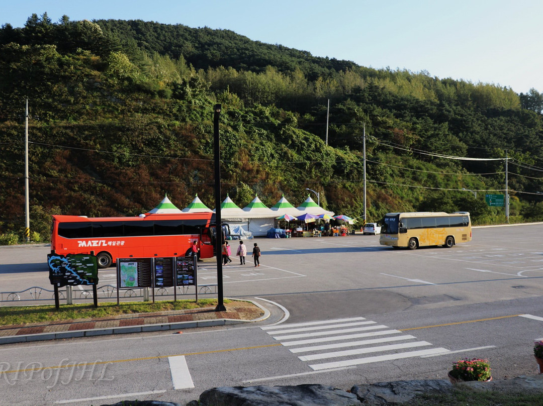 Cheongpung Cultural Heritage Complex-堤川市必去景点