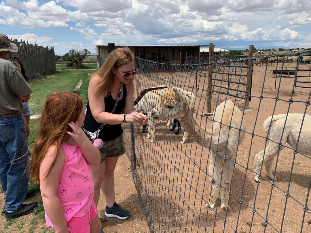 Blue Mesa Alpacas-圣菲必去景点