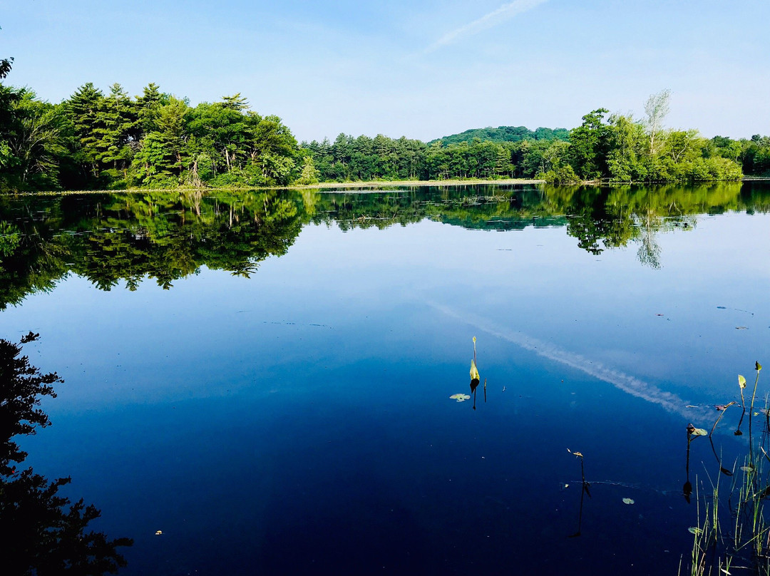 Devils Dishfull Pond