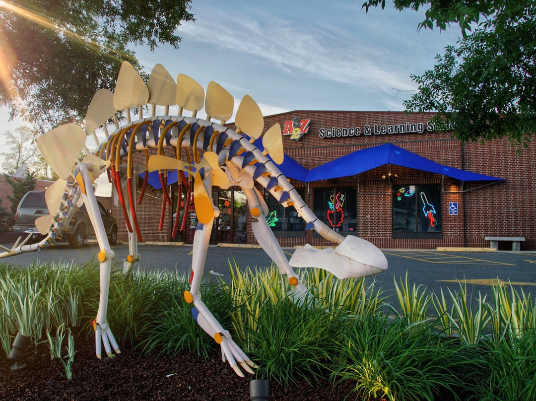 A2Z Science and Learning Toy Store-北安普敦必去景点