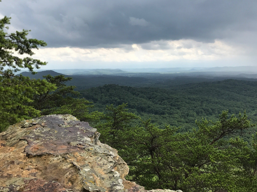 Pilot Knob Nature Preserve景点图片