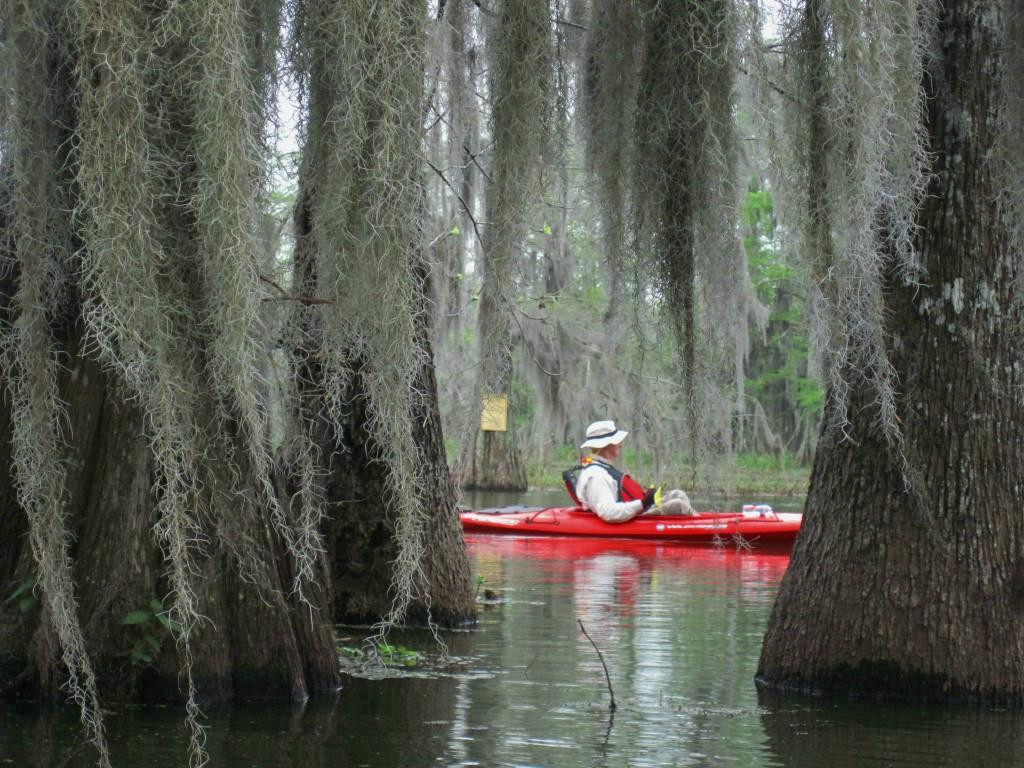 Bayou Teche Experience景点图片