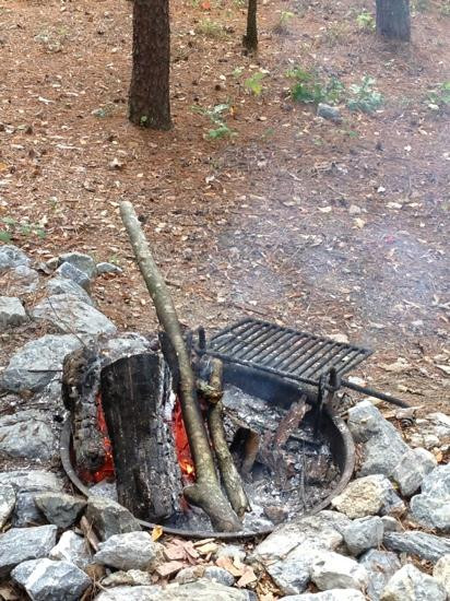 Calhoun旅游景点-Salacoa Creek Park