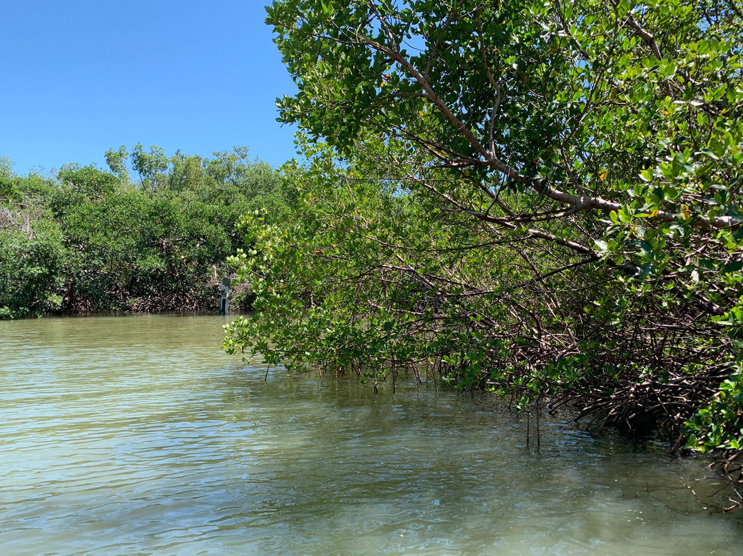 Mound Key Archeological State Park景点图片