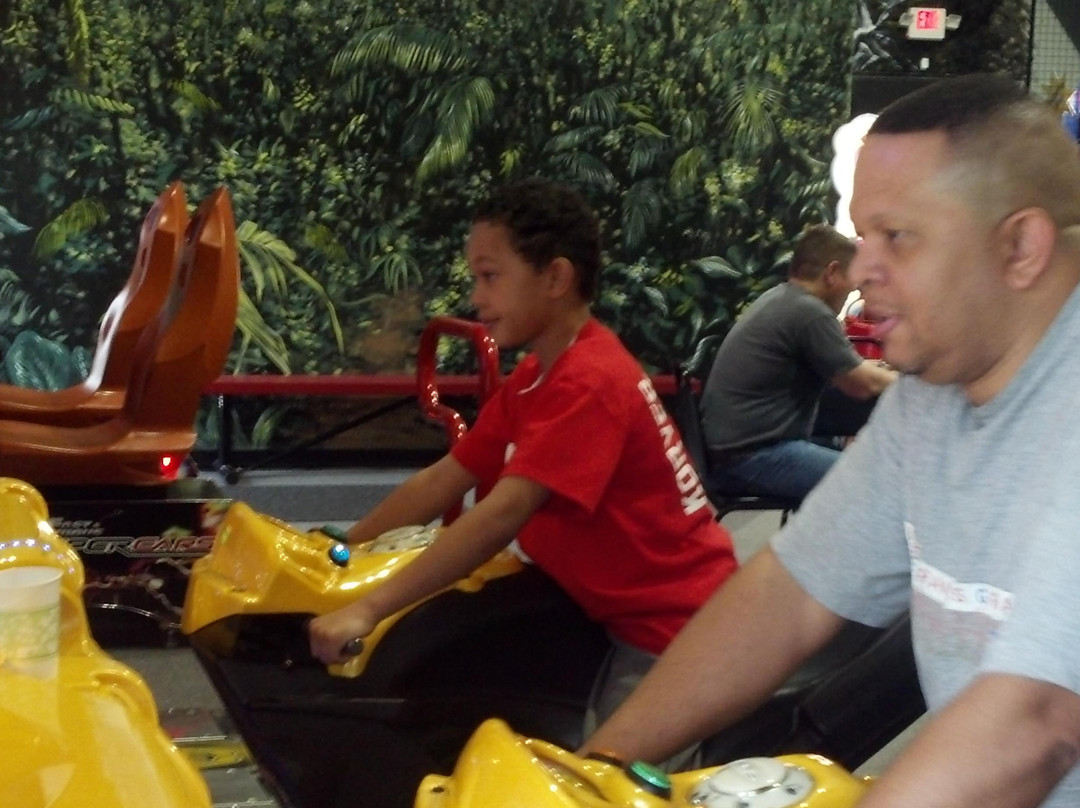 桃树市旅游景点-Urban Jungle