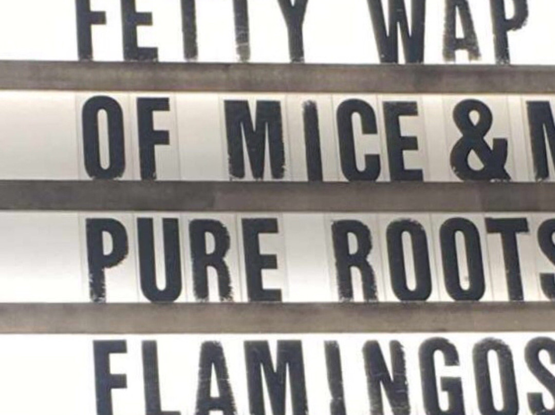 Catalyst-圣克鲁斯必去景点