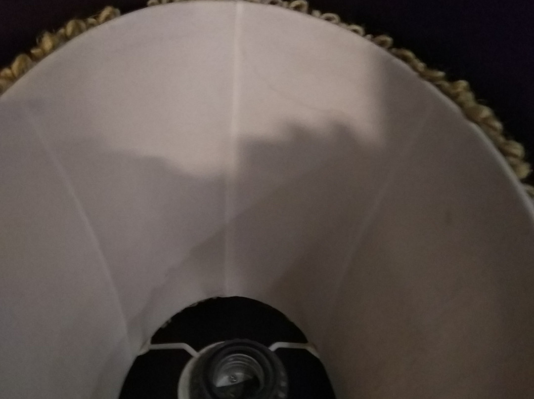 扎姆扎姆塔楼酒店主图