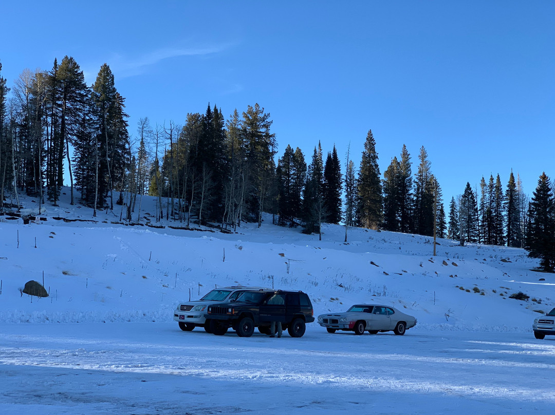 Sunrise Park Resort