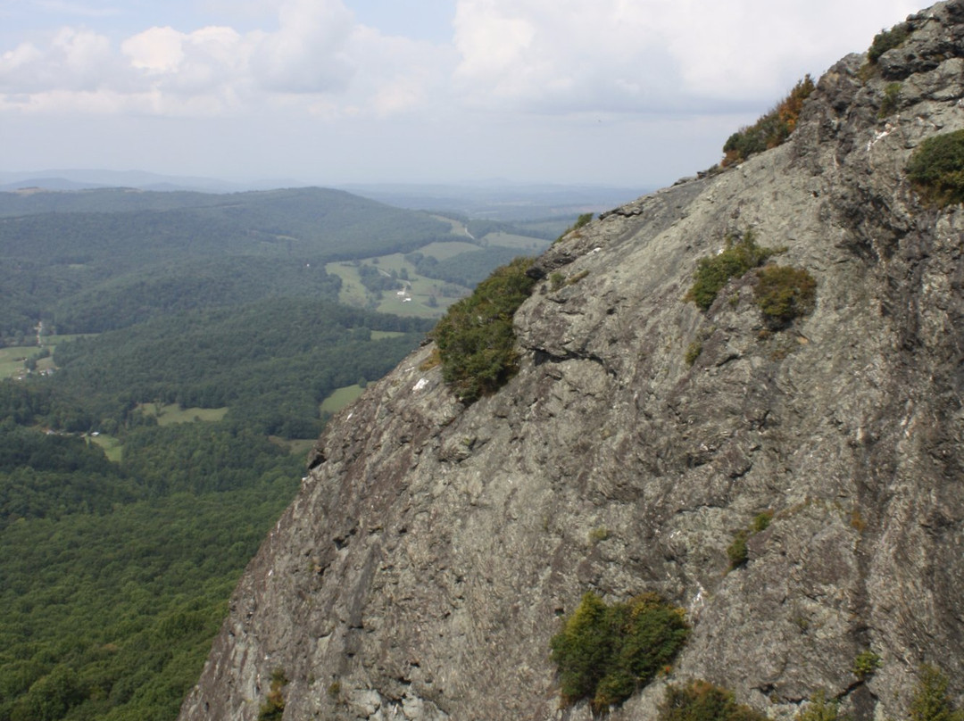Buffalo Mountain Natural Area Preserve景点图片