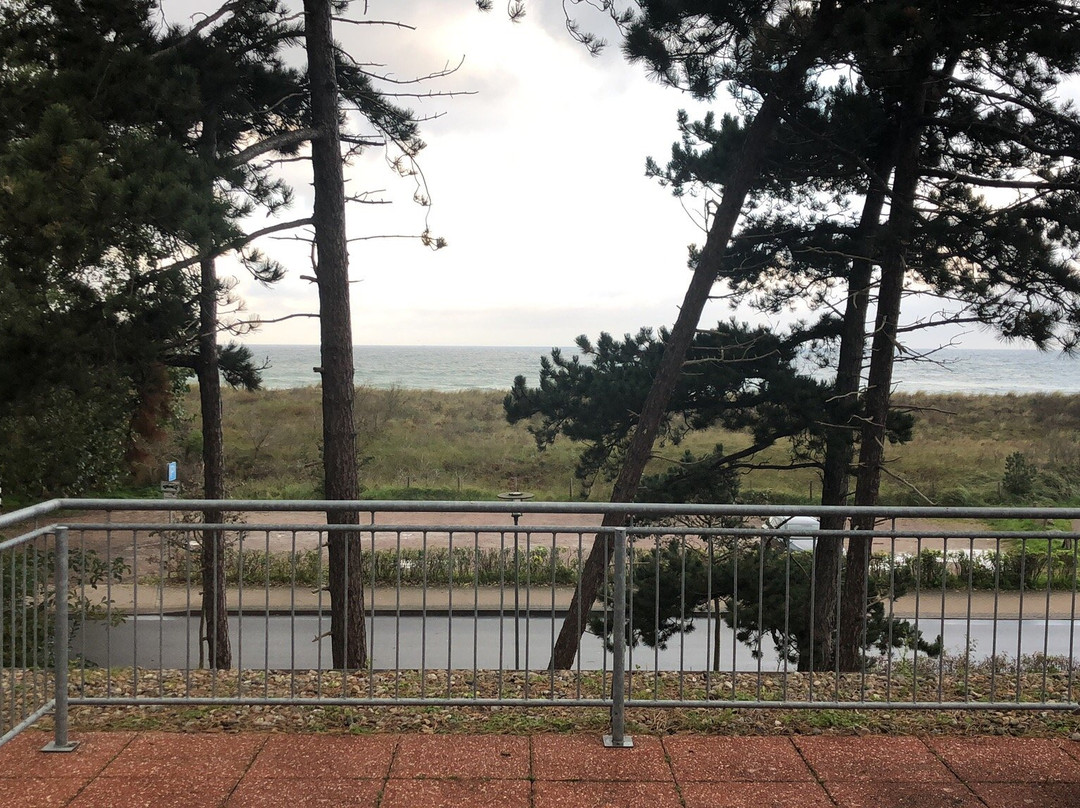 Der Fischlaender主图