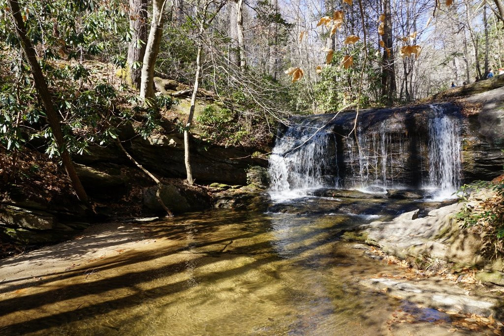Wildcat Wayside Mountain Bridge Wilderness Area景点图片