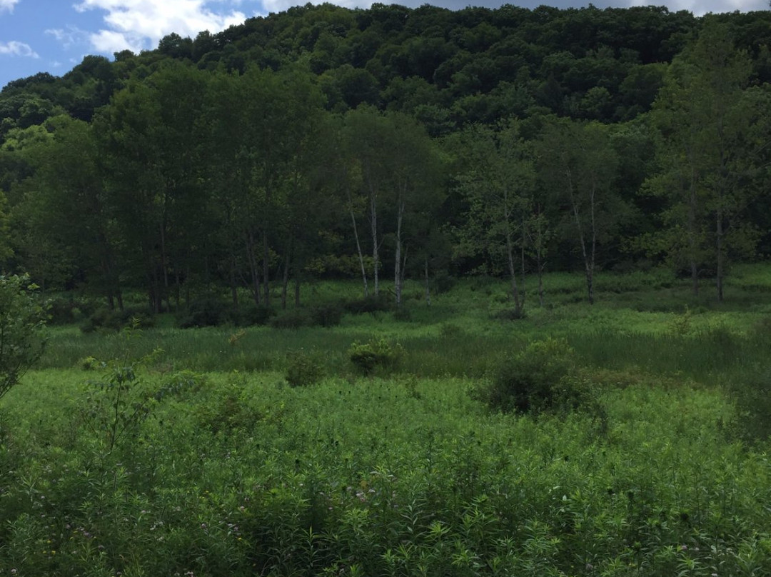 Mahoning Shadow Trail景点图片