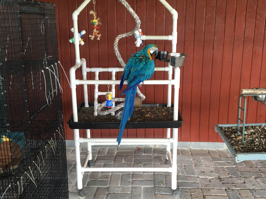 Sabillasville旅游景点-East Coast Exotic Animal Rescue