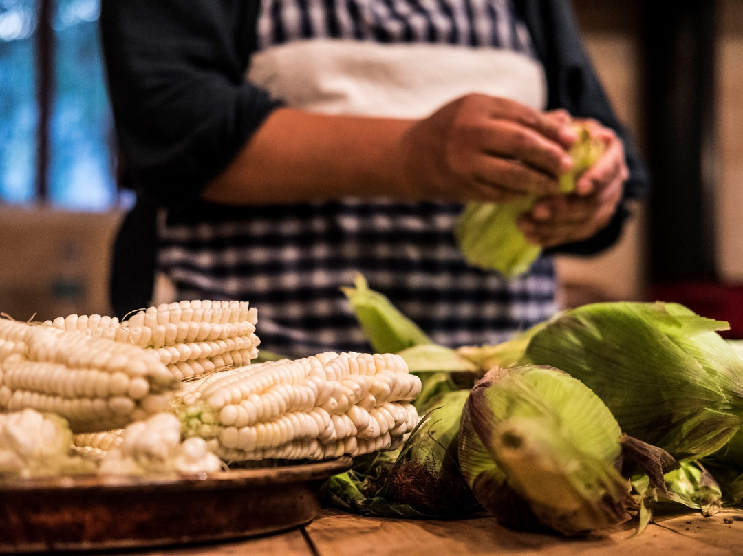 Pueblos Originales-普尔马马尔卡必去景点