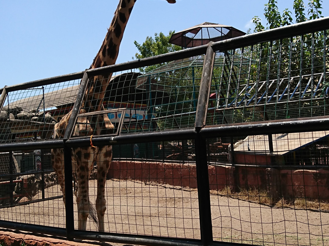 Maharani Zoo & Caves-Lamongan必去景点