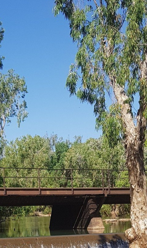 Low Level Nature Reserve-凯瑟琳必去景点