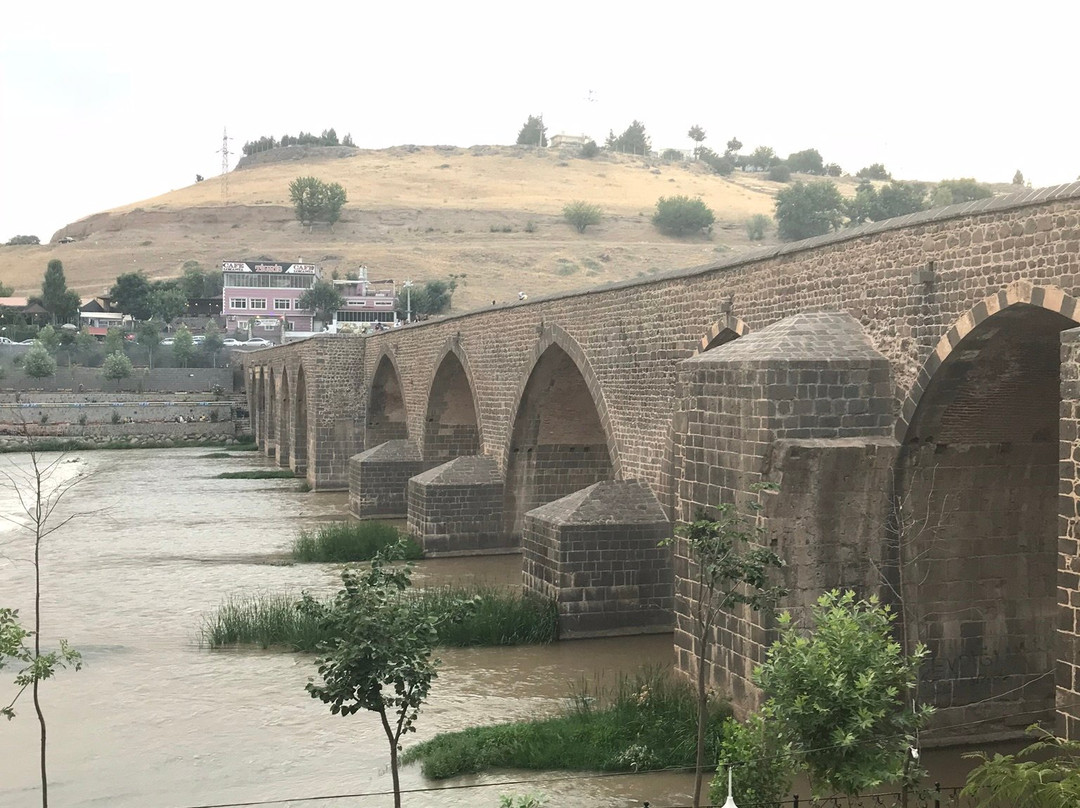 On Gozlu Koprusu-Diyarbakir必去景点