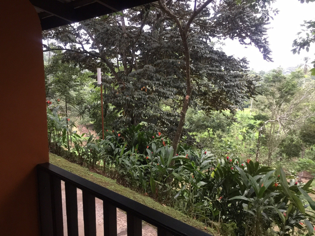 Hotel La Hacienda主图