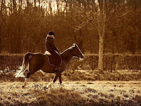 The Stables at Northeast Georgia-Carnesville必去景点
