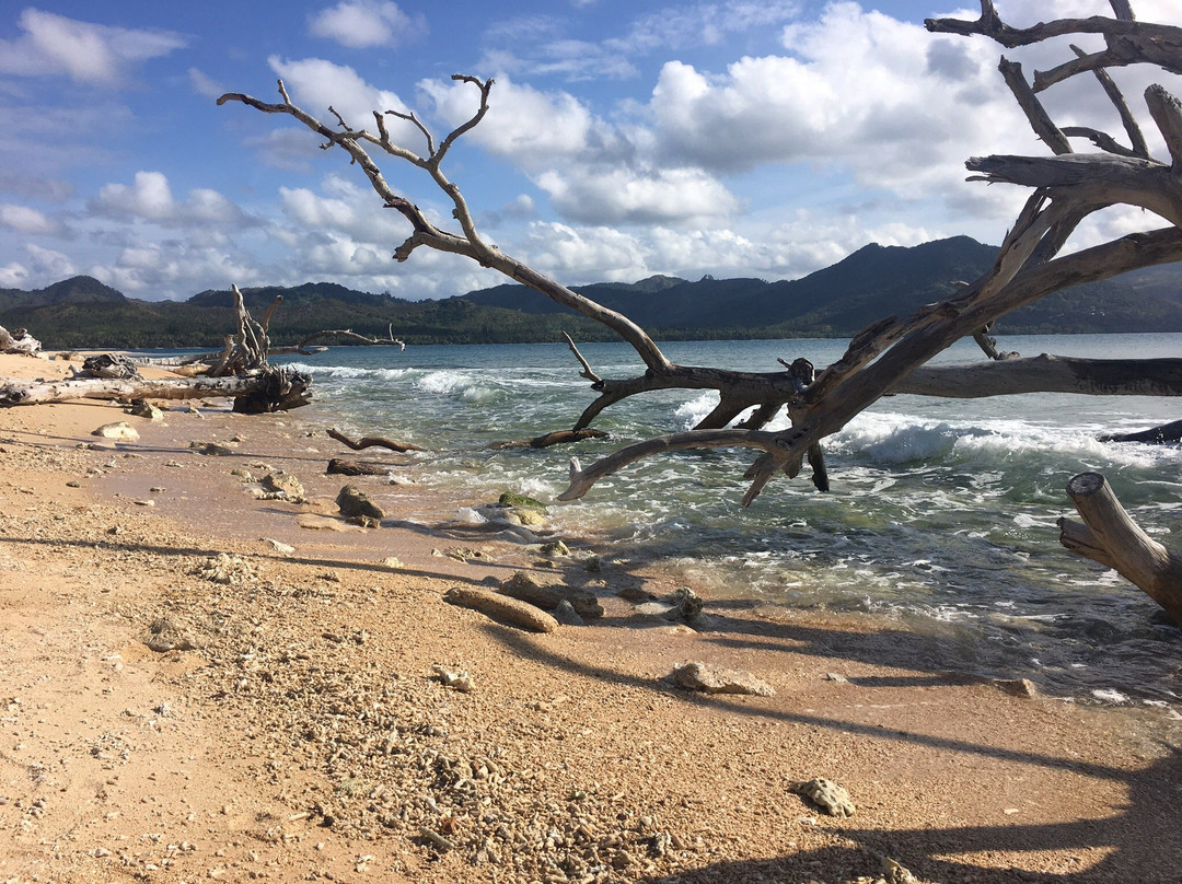 Tibarama Island-Poindimie必去景点