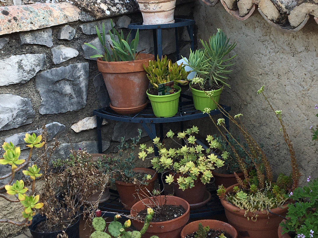 Atelier de Fons主图