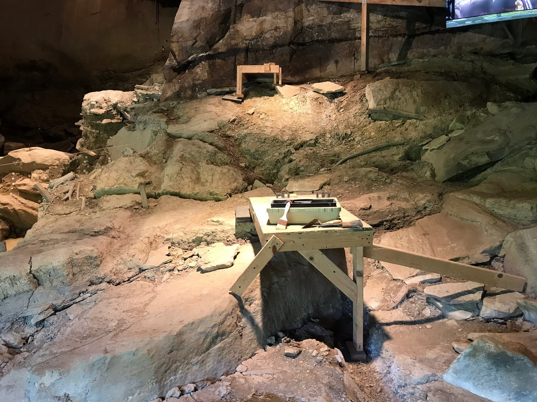 Meadowcroft Rockshelter and Historic Village景点图片