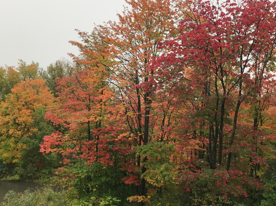 Tourisme Wendake-温达基必去景点