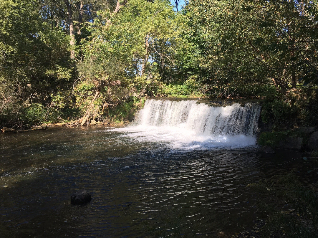 Lynn River Falls景点图片