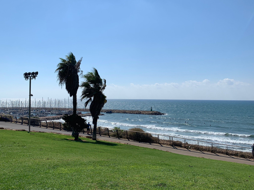 Independence Park-特拉维夫必去景点