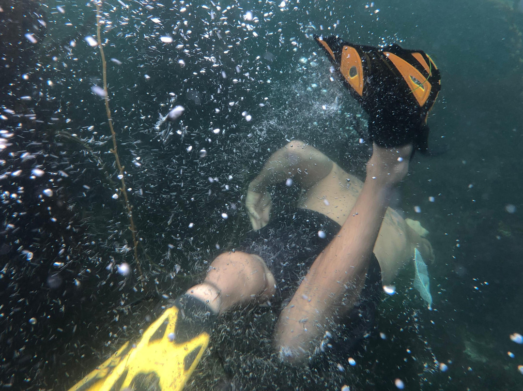 KAYAK, SNORKEL, SURF SOUTHERN CALIFORNIA-雷东多海滩必去景点