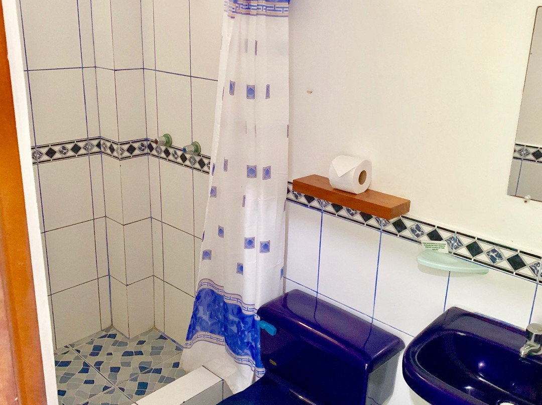 Hostal La Jungla主图