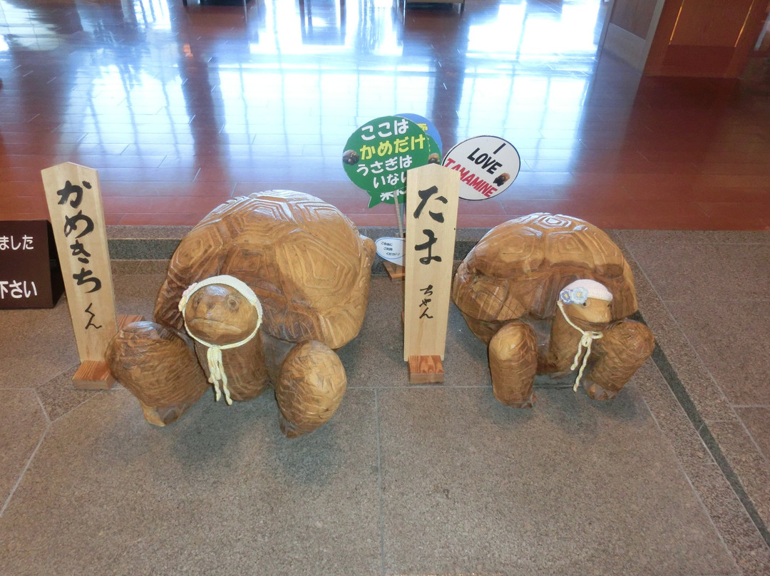 Tamamine Sanso主图