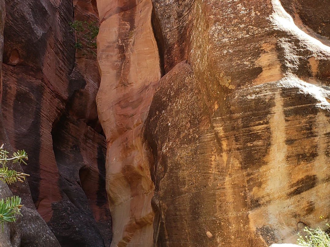 Kanarraville Slot Canyon-Kanarraville必去景点