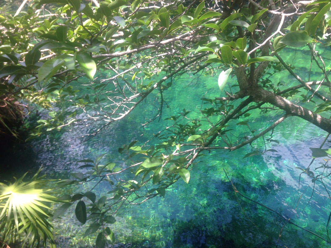 Cenote Crystal景点图片