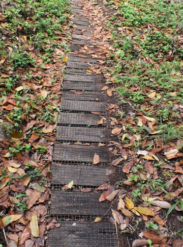 la cascade d'Anba So à Fond Lahaye