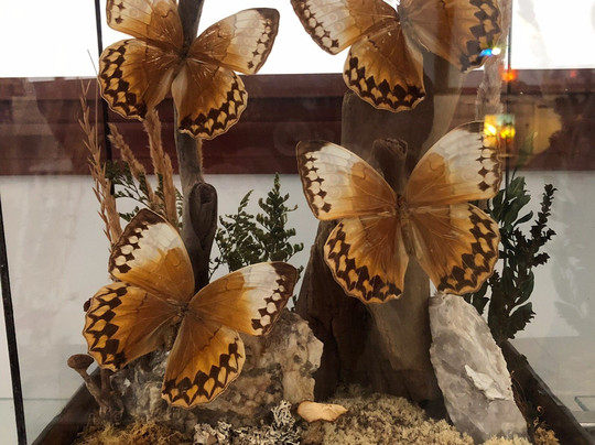 Maine Art Glass-Lisbon Falls必去景点