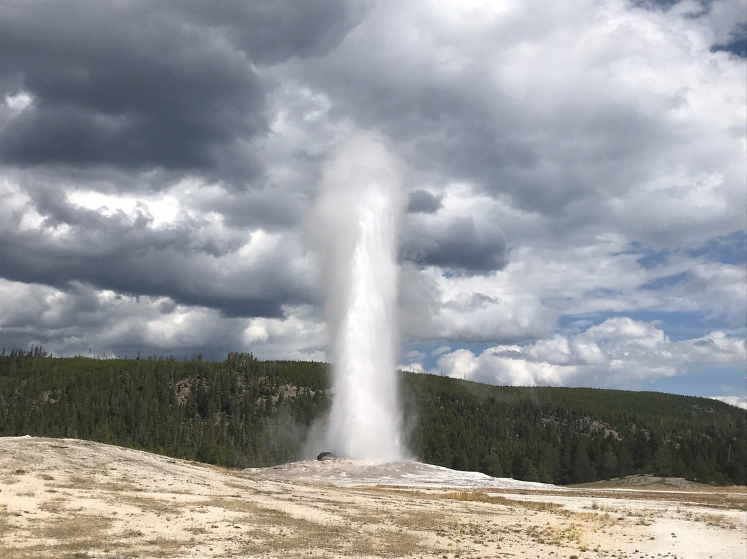 Yellowstone Tour Guides - Day Trips景点图片