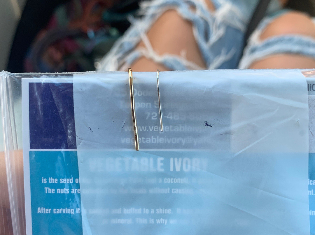 Vegetable Ivory-塔彭斯普林斯必去景点