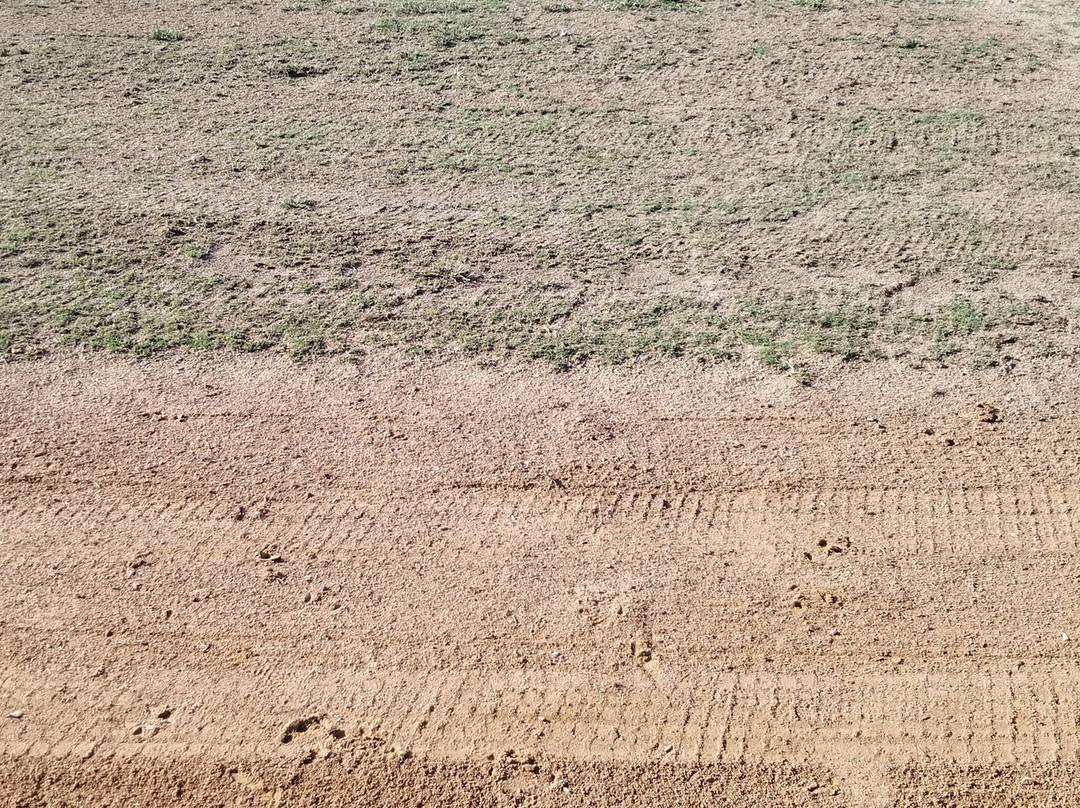 Sports at the Beach-Georgetown必去景点