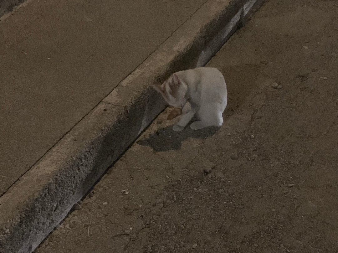 Souvala Harbour-Souvala必去景点