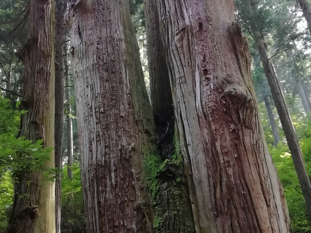 Ohita Gate Oiwa Shrine-日立市必去景点