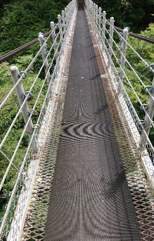 Daisen Fall Suspension Bridge景点图片